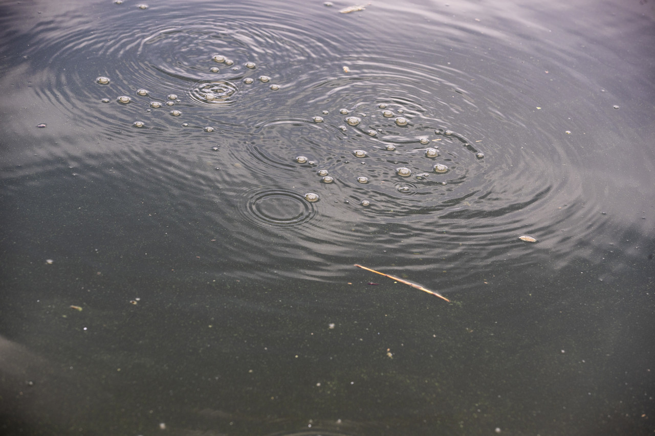 이 강에는 문제가 있다 [프리스타일] < 기자의 프리스타일 < 인터뷰·오피니언 < 기사본문 - 시사IN