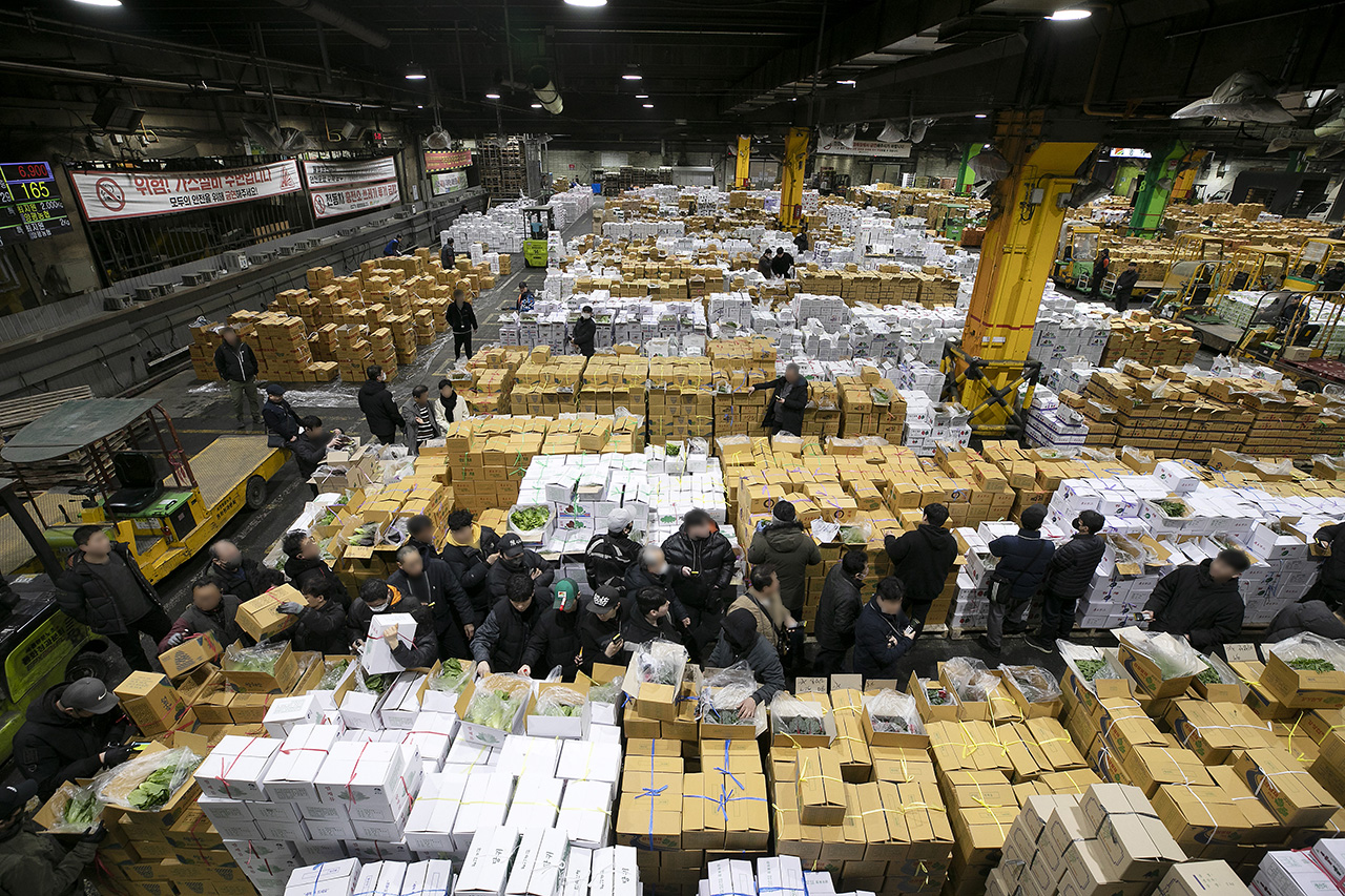 32년 만의 과일값 폭등, 원인도 있고 대안도 있다 < 사회 < 기사본문 - 시사IN