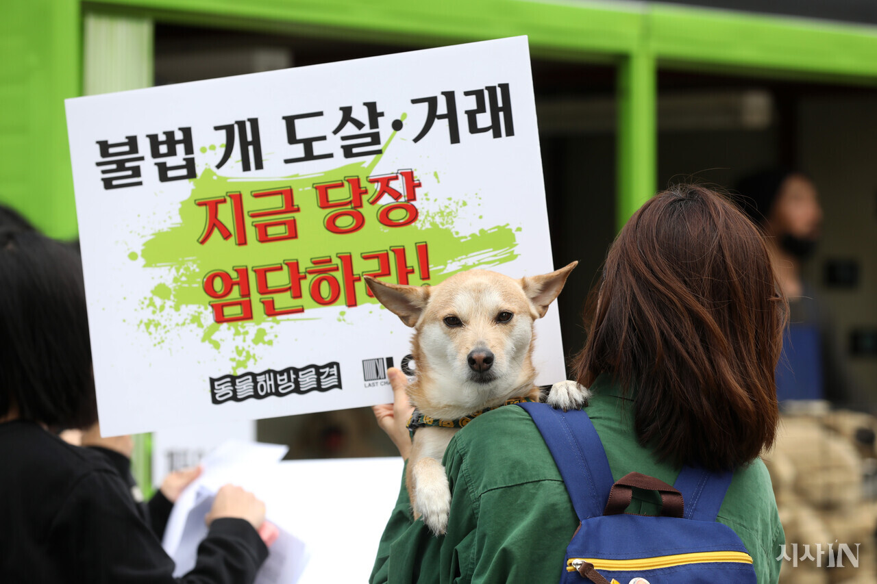 2023년 3월23일 ‘국제 강아지의 날’에 한 시민단체가 식용 개 도살·거래 엄단 퍼포먼스를 벌였다. ⓒ시사IN 신선영