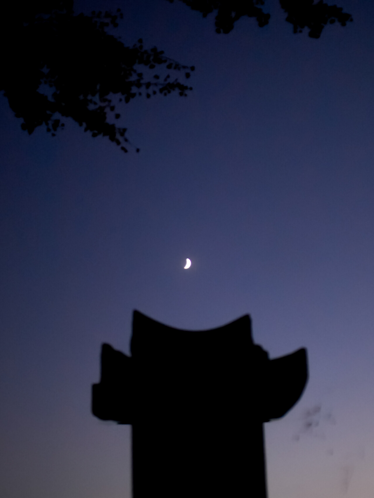 3학년 장준형(2023년 10월20일)