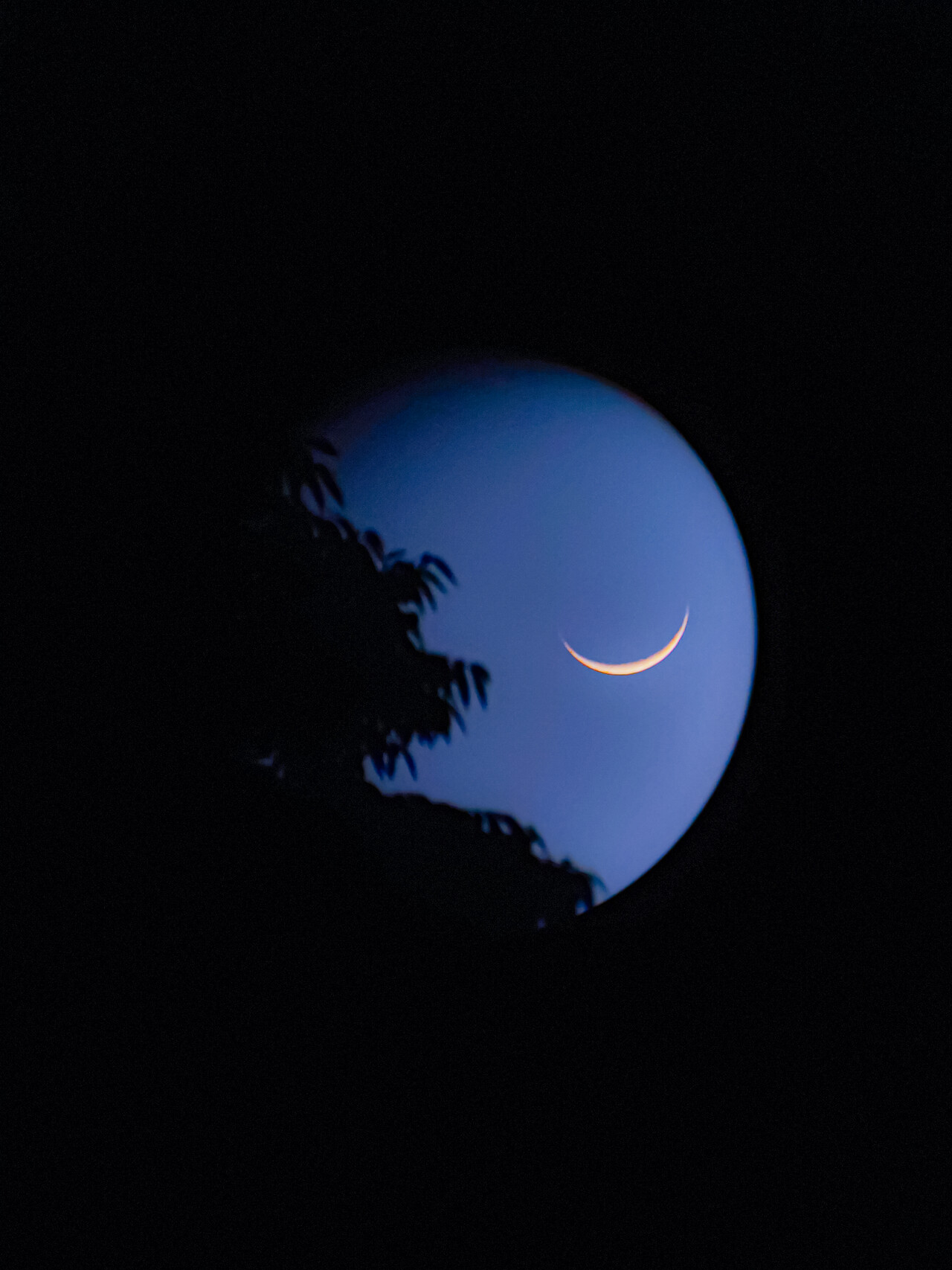 5학년 박산유(2024년 5월10일)