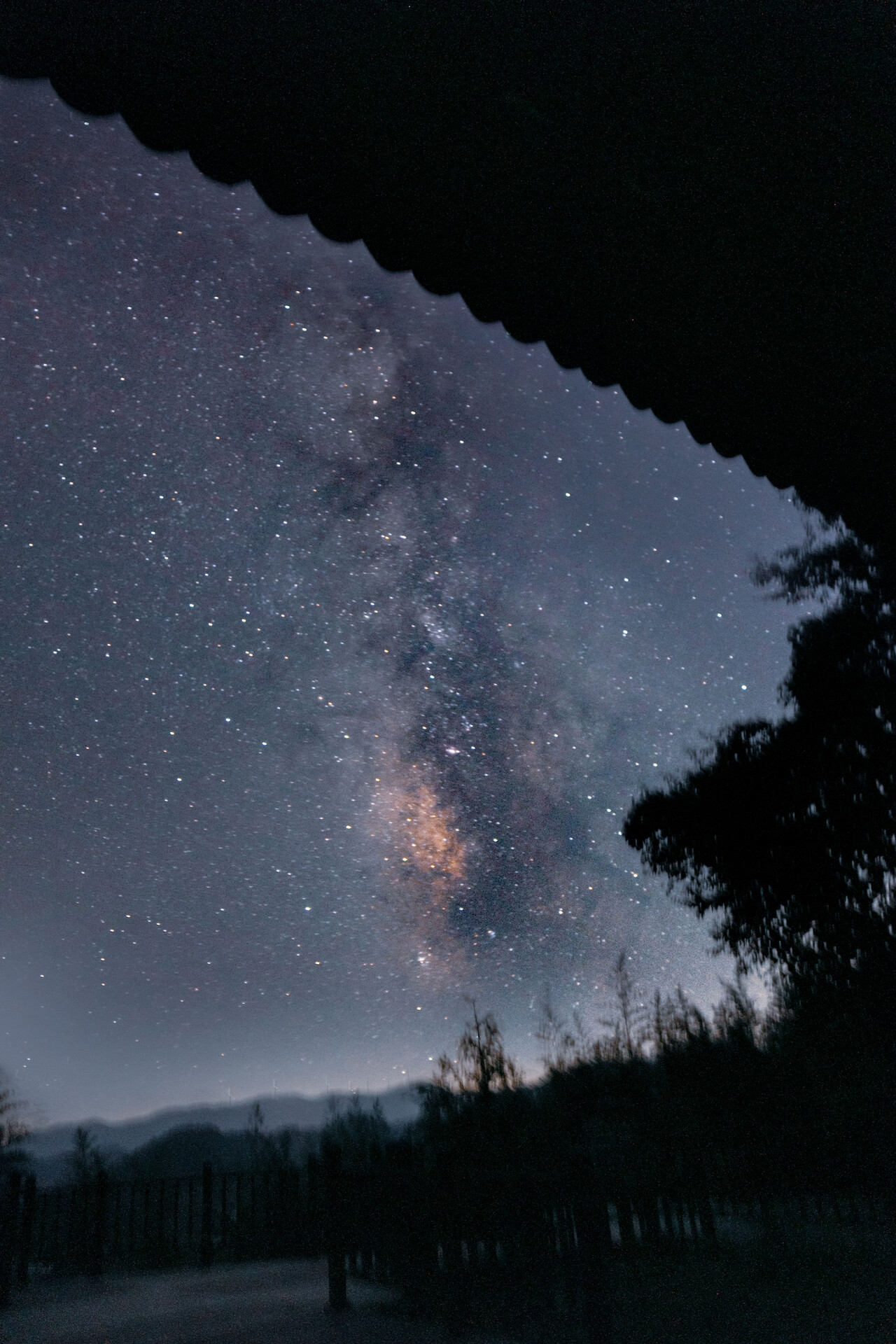 3학년 정아인(2024년 9월27일)