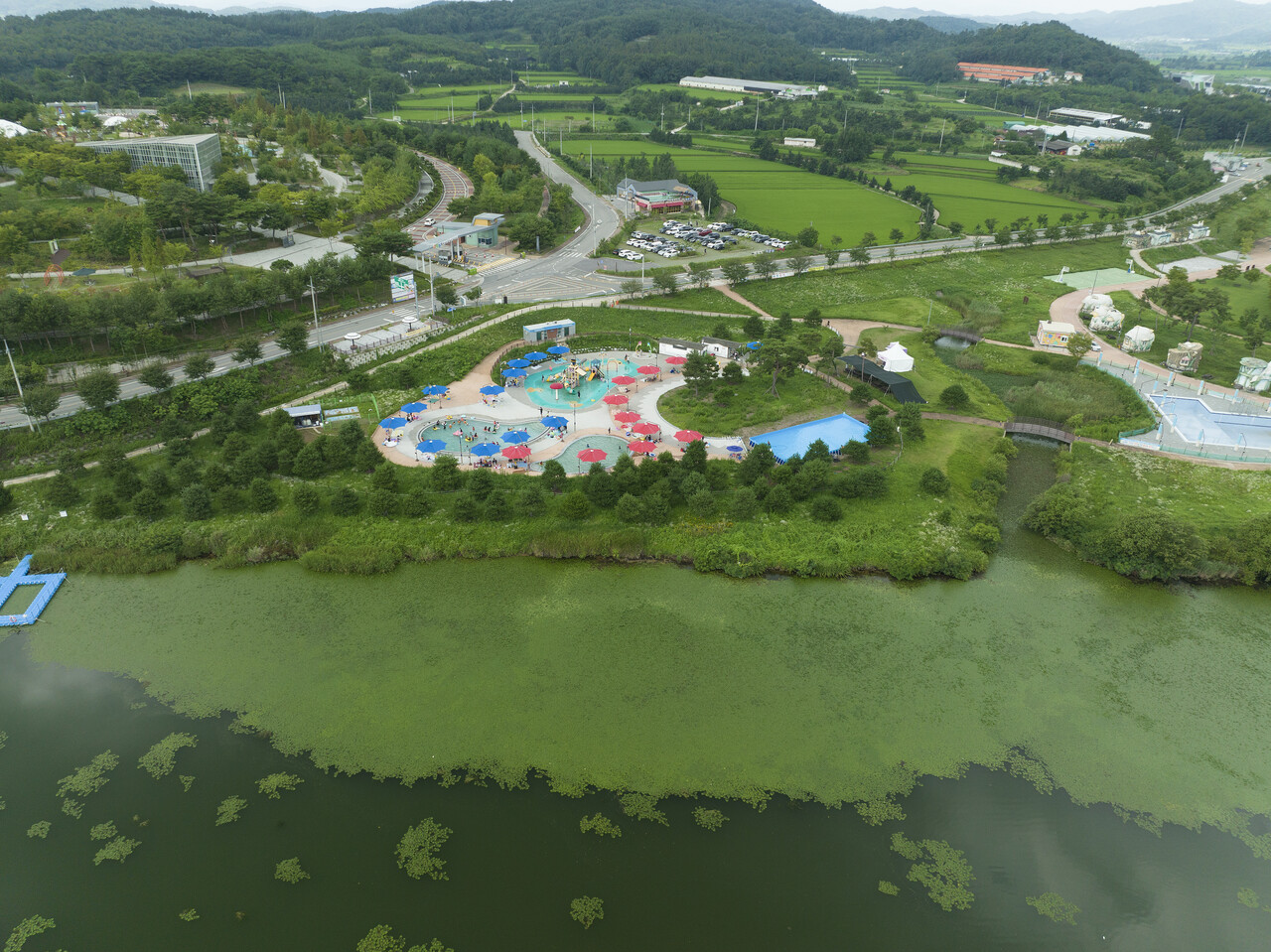 2022년 8월6일 경북 상주보 물놀이장에 녹조가 끼어있다. ⓒ시사IN 이명익