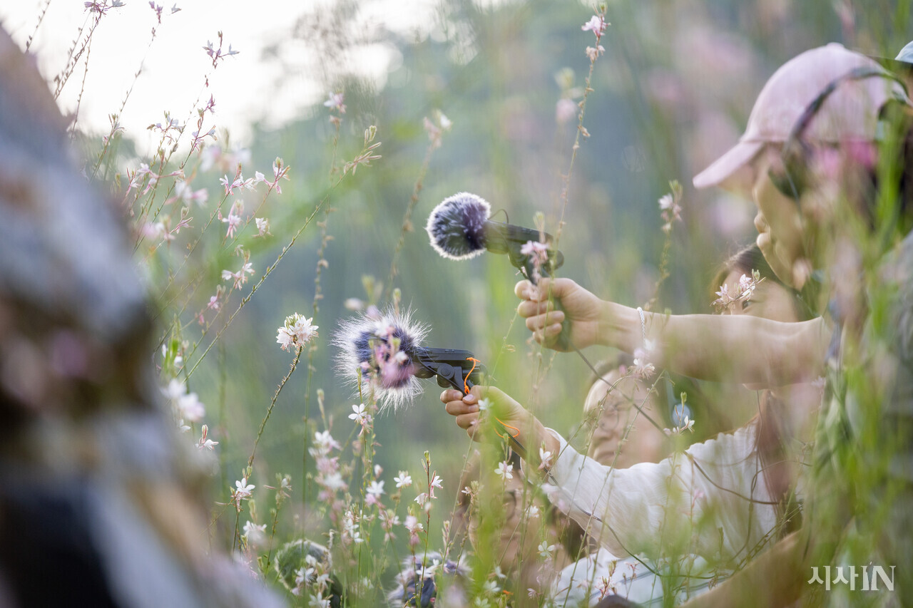 사운드 워커들이 꽃에서 꿀을 따 먹는 벌들의 소리를 녹음하고 있다. ⓒ시사IN 박미소