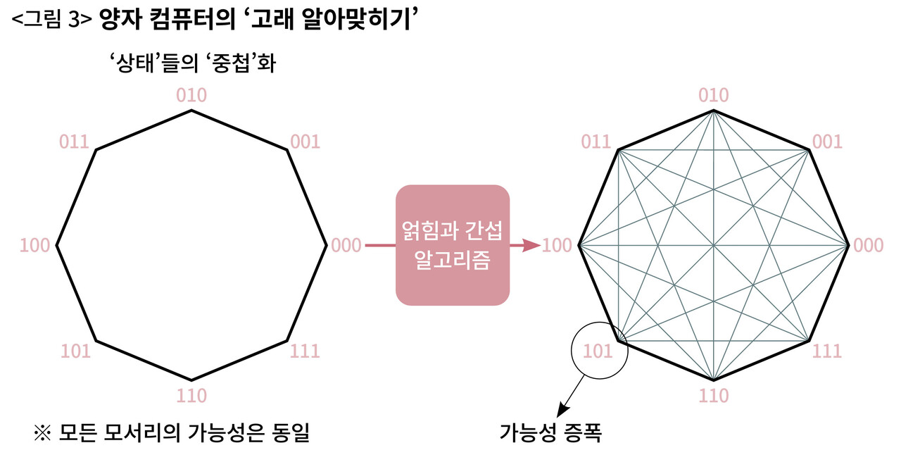 얽히고 겹쳐서 정답을 증폭한다, 양자 컴퓨터의 논리 < 경제 < 기사본문 - 시사IN