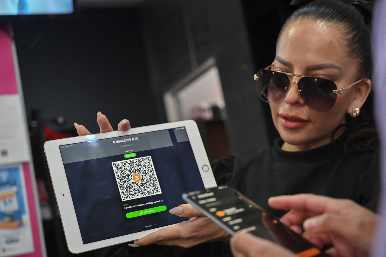 스테이블코인이 화폐가 될 수 있을까? < 경제 < 기사본문 - 시사IN