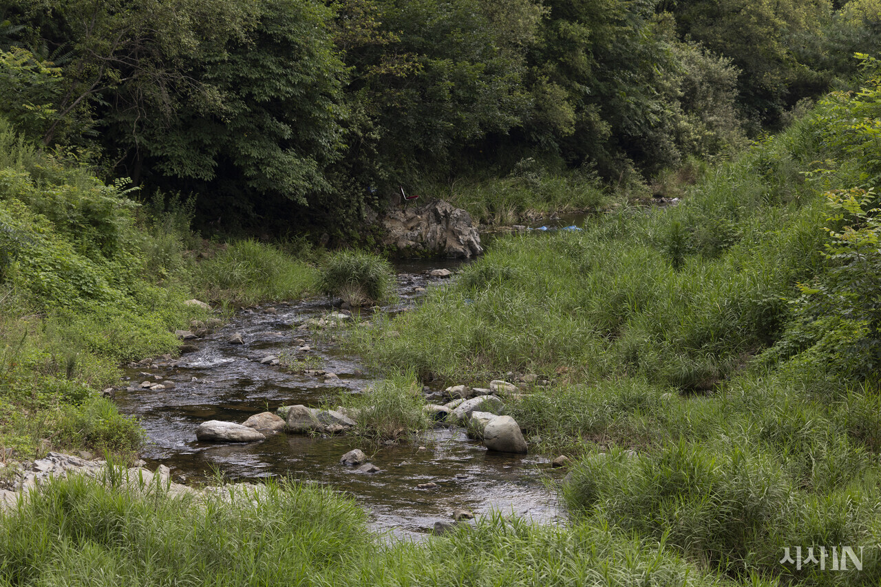 강원도 홍천군 화촌면 풍천리의 개천 모습. 한수원은 이 개천의 물을 가둬 양수발전소를 만들 계획이다. ⓒ시사IN 이명익