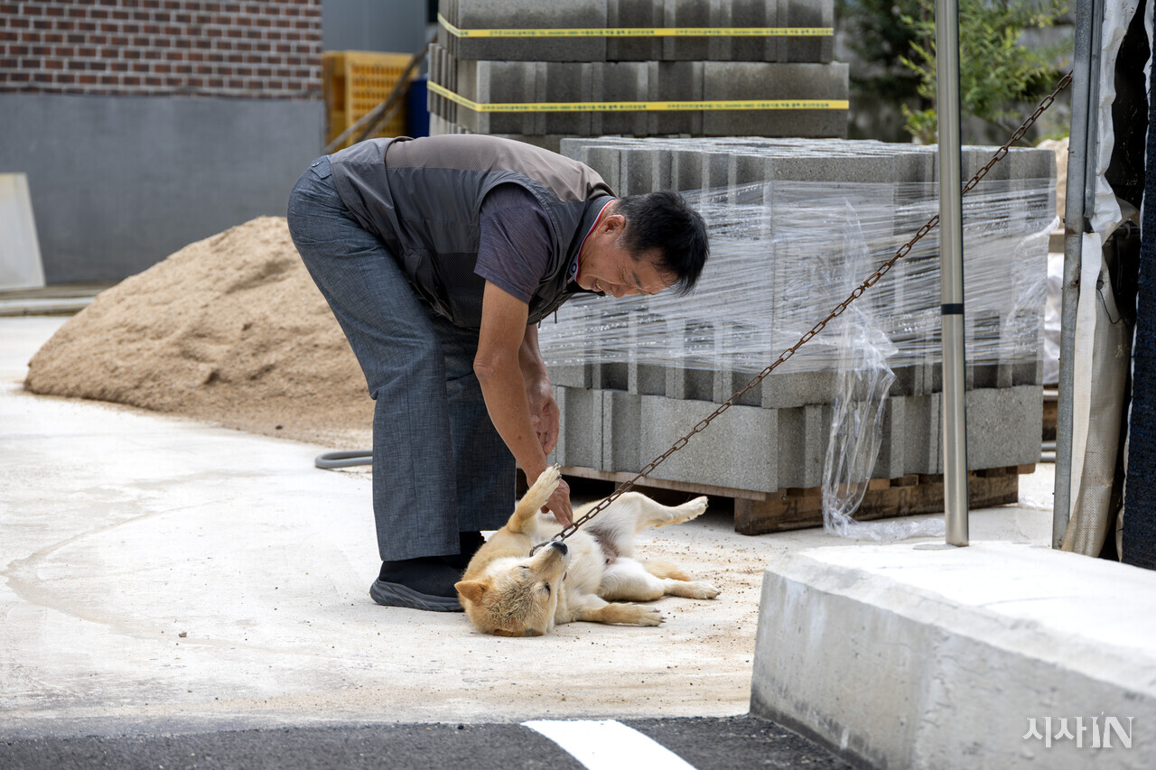 2025년 8월7일, 여전히 마을에서 살고 있는 진순이와 권호량씨. ⓒ시사IN 박미소