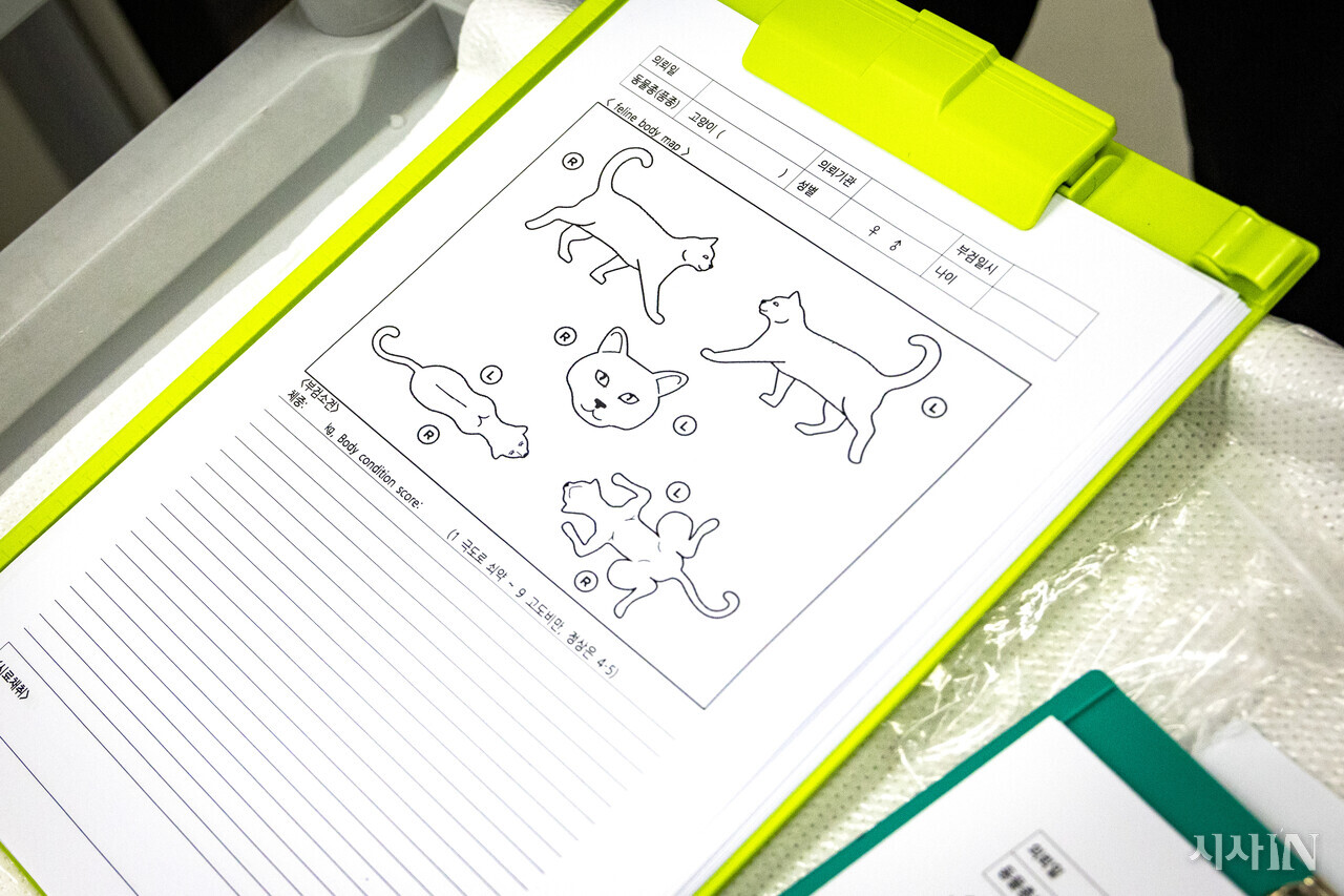 동물 사체를 부검하는 과정에서 기록하는 보고서 양식. ⓒ시사IN 박미소