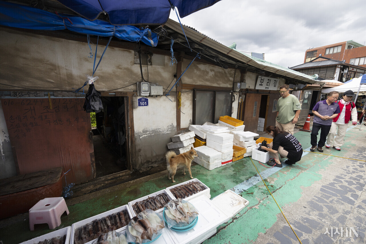 북평오일장에서 문어를 산 손님이 아이스박스에 담고 있다. ⓒ시사IN 이명익