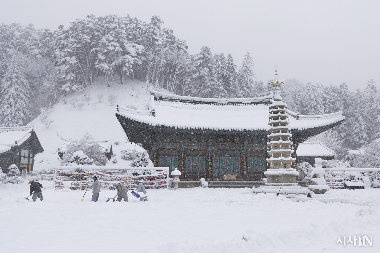 동안거 해제일인 3월3일(음력 1월15일) 오전 스님들이 강원도 평창군 진부면 월정사 적광전 앞에 쌓인 눈을 치우고 있다. ⓒ시사IN 이명익