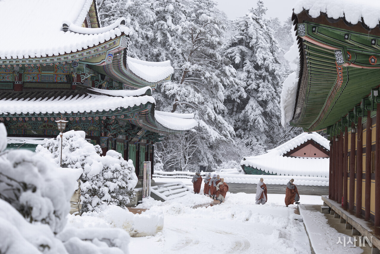 동안거 해제 법요식에 참석하기 위해 이동 중인 스님들. ⓒ시사IN 이명익
